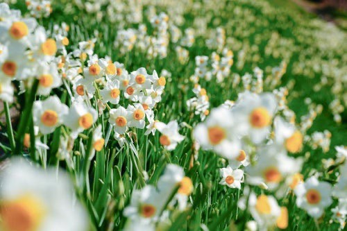 1月も有難うございました！01