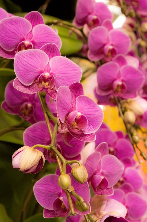 1月も有難うございました！03