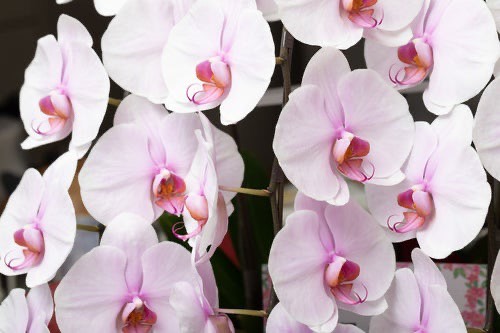 1月も有難うございました！05