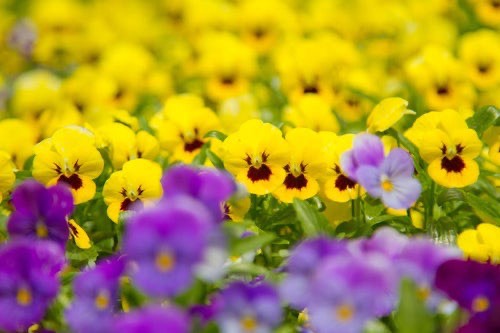 2025年も有難う感謝！感謝！03