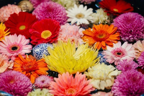 2025年も有難う感謝！感謝！04