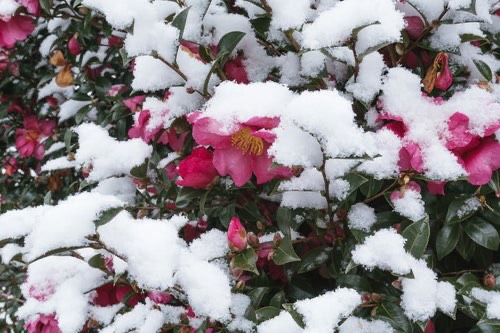 2月3日は節分です！04