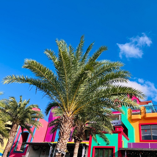 ワクワク12月も2週目！02