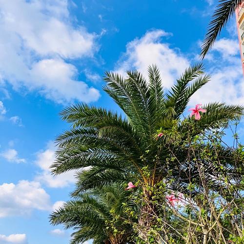 ワクワク12月も2週目！03