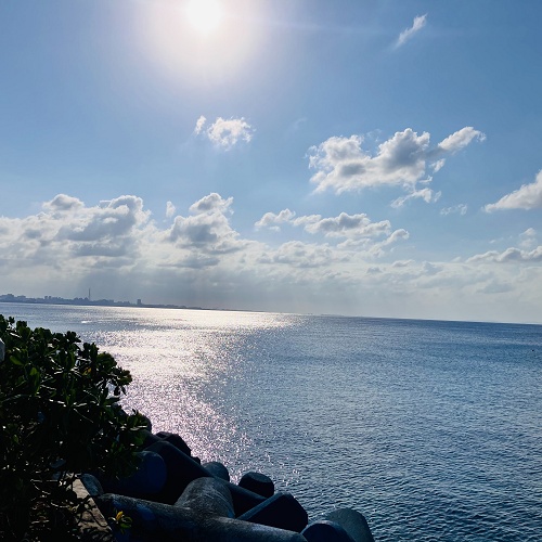 ワクワク12月も2週目！06