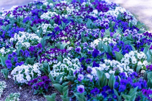 寒い❄️日も楽しみ見つけよう！02