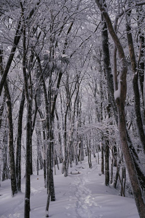 寒い❄️日も楽しみ見つけよう！04